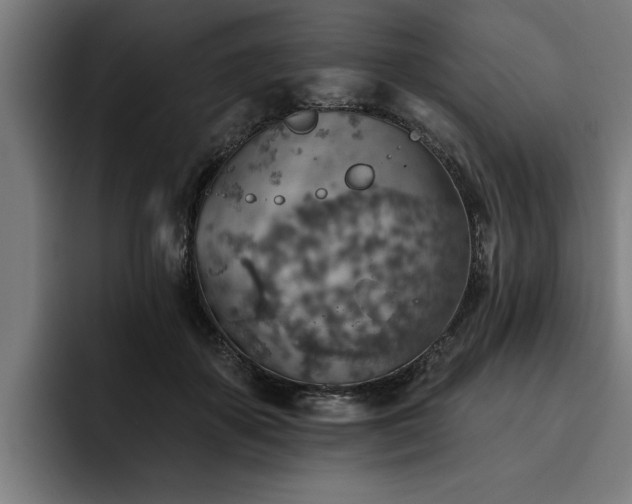 X0000093500507200710121516
