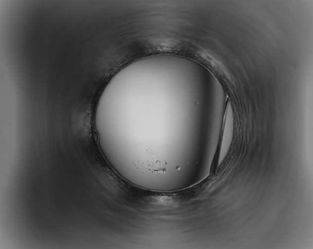 X0000093500509200710121515