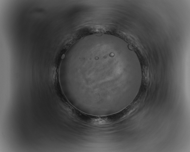 X0000093500511200710121515