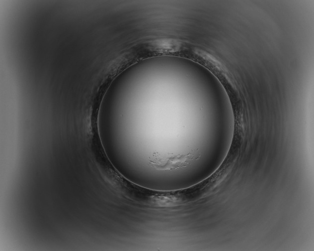 X0000093500512200710121515
