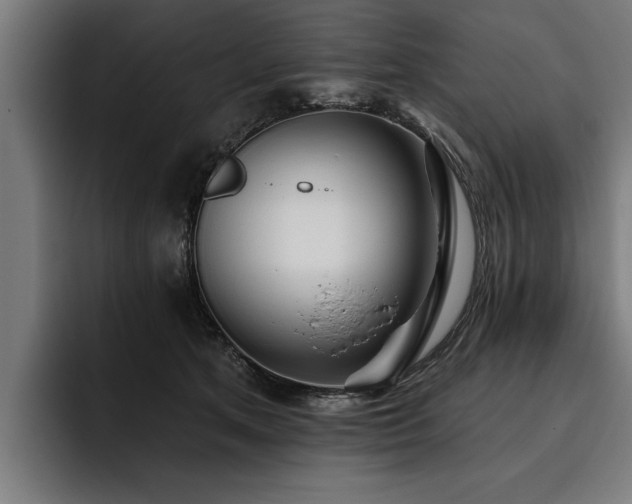X0000093500513200710121515