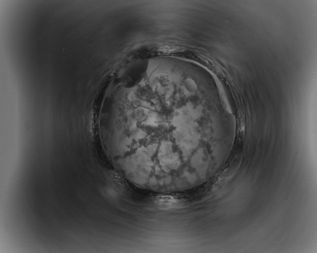X0000093500519200710121515
