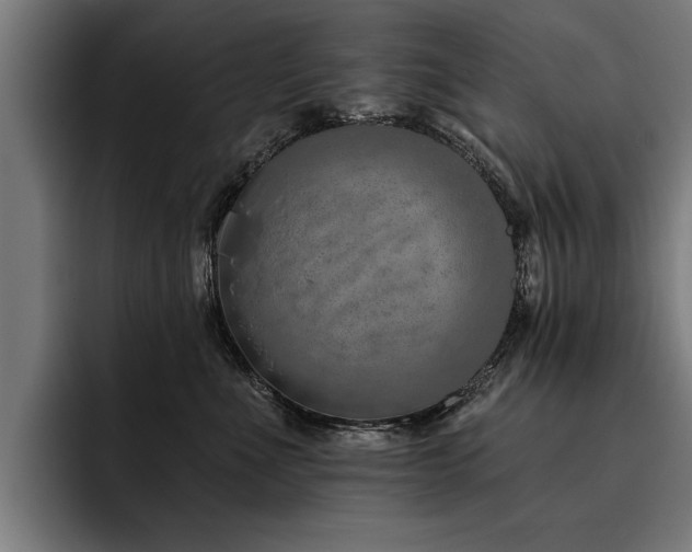 X0000093500523200710121515