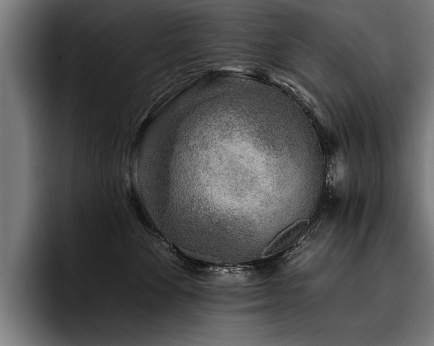 X0000093500524200710121515