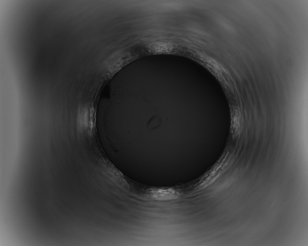 X0000093500525200710121515