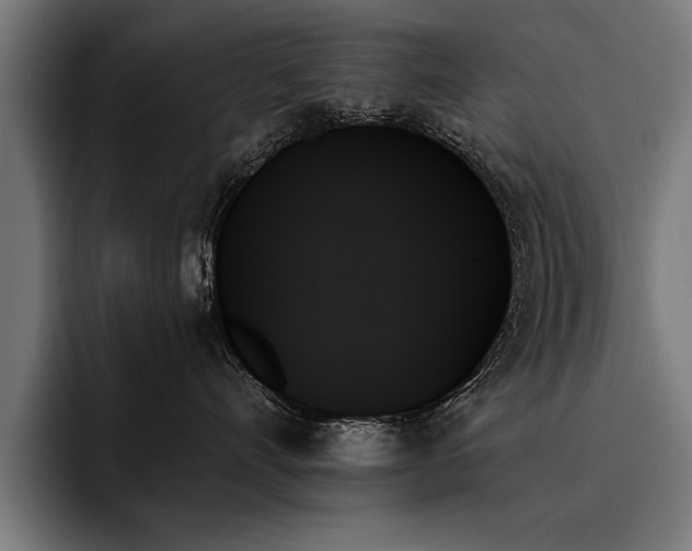 X0000093500528200710121515