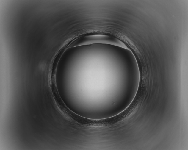 X0000093500530200710121515