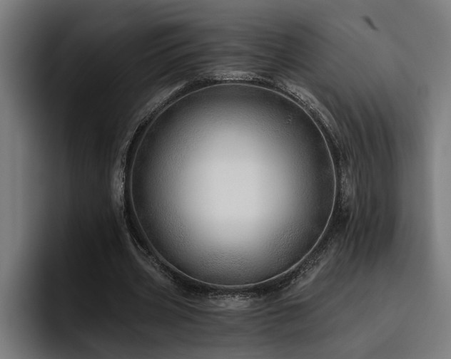 X0000093500533200710121515
