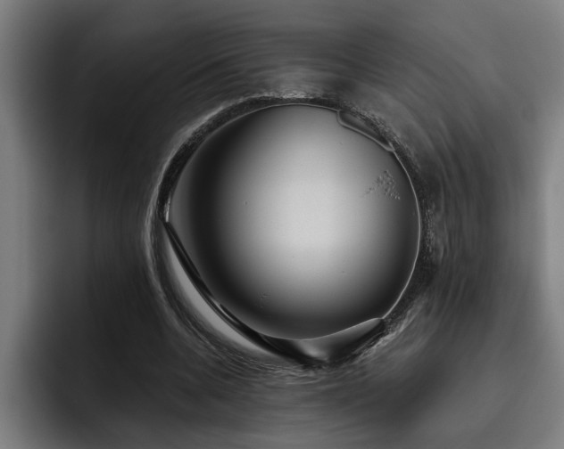 X0000093500536200710121515