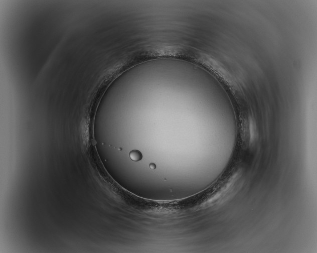 X0000093500537200710121515