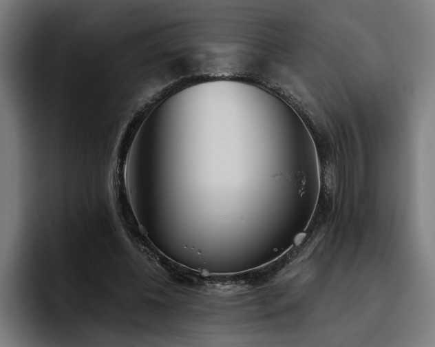 X0000093500540200710121515