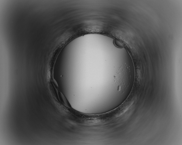 X0000093500541200710121515