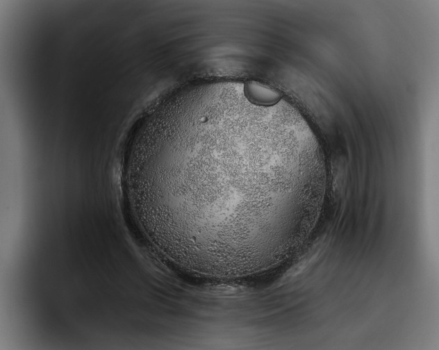 X0000093500542200710121515