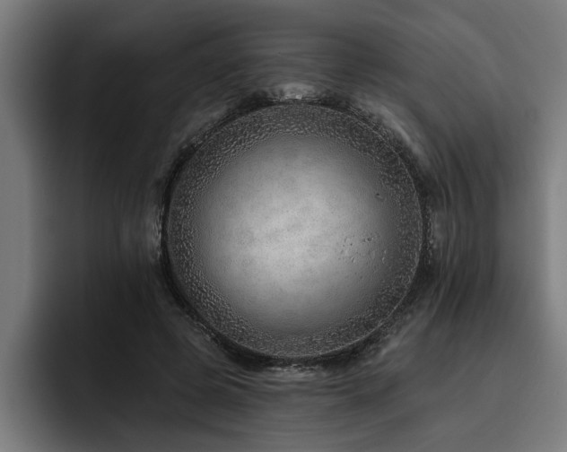 X0000093500545200710121515