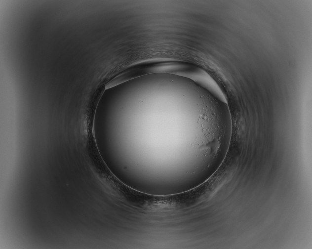 X0000093500546200710121515