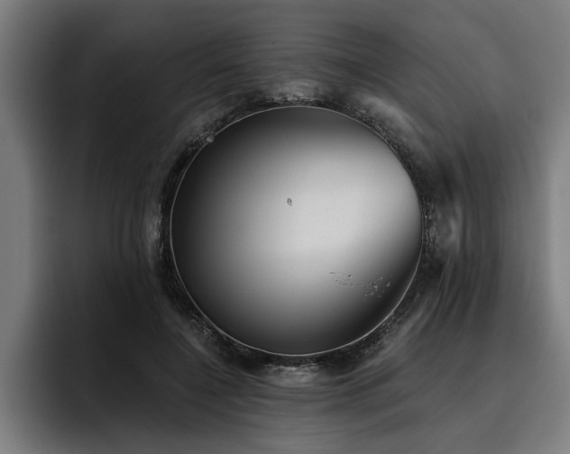 X0000093500548200710121515