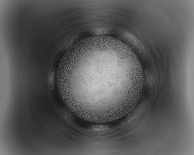 X0000093500549200710121515