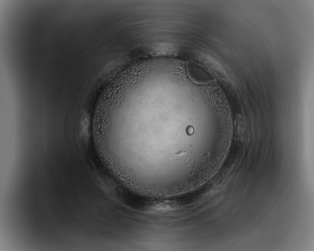 X0000093500550200710121515