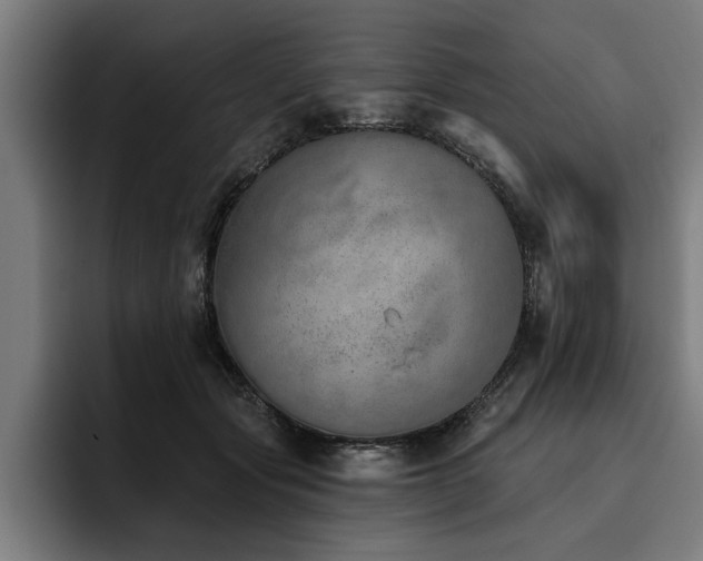 X0000093500557200710121515