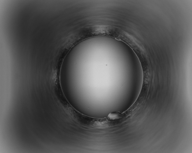 X0000093500560200710121515