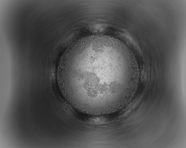 X0000093500561200710121515