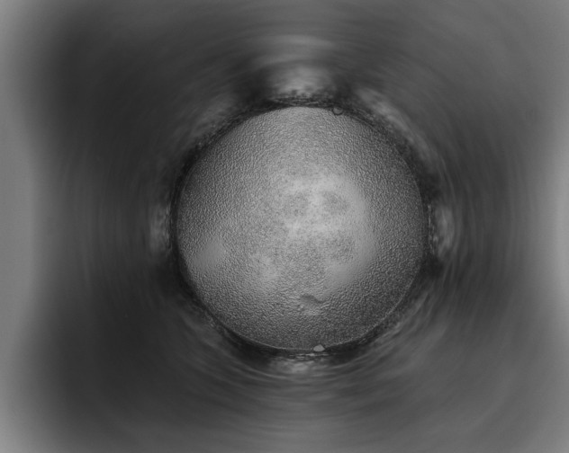 X0000093500563200710121515