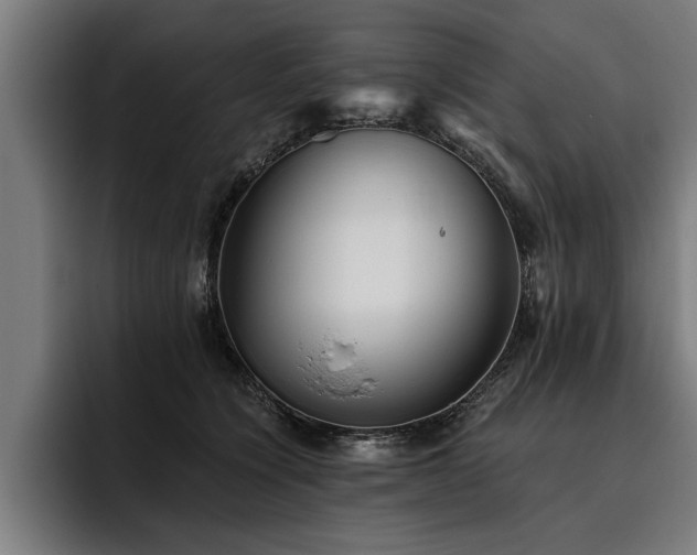 X0000093500564200710121515