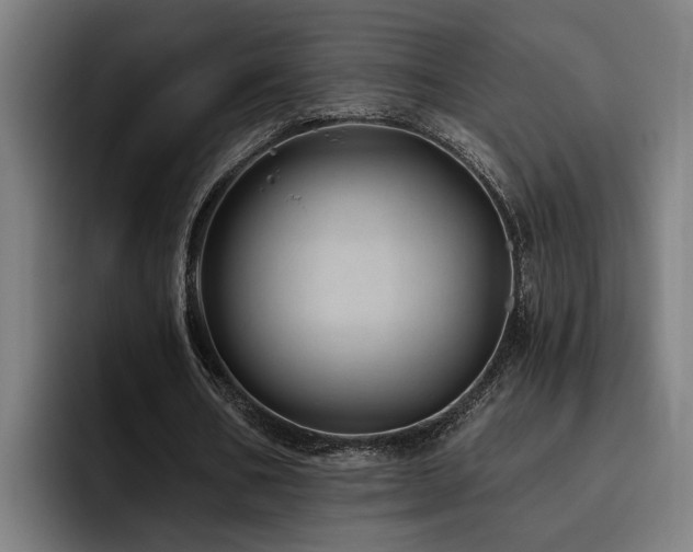 X0000093500578200710121515