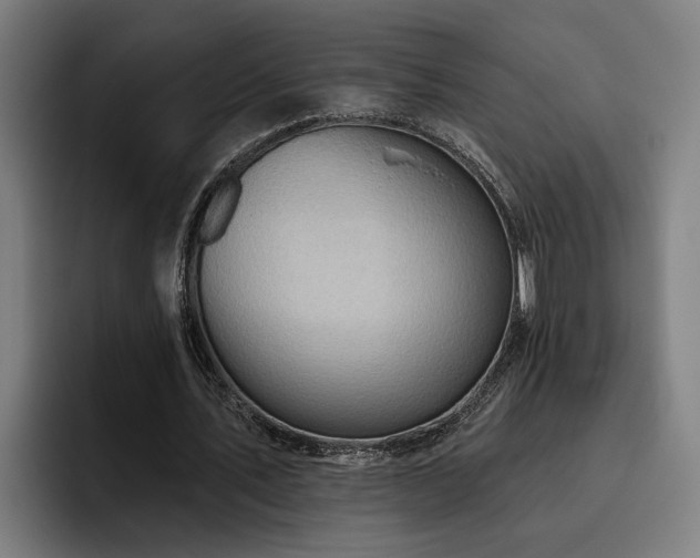 X0000093500579200710121515