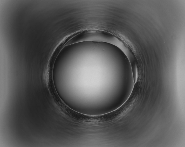X0000093500580200710121515