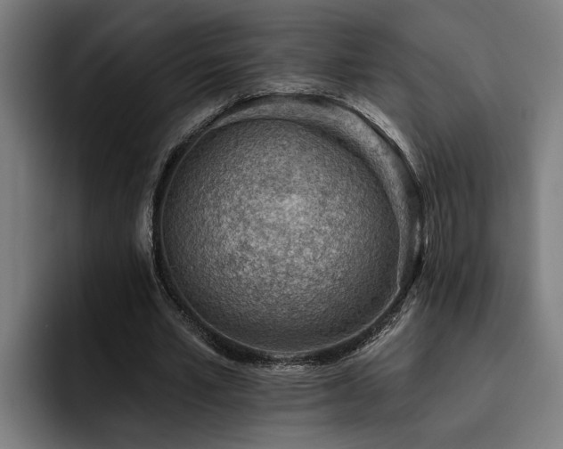 X0000093500581200710121515