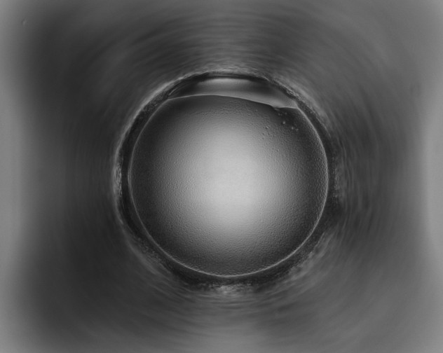 X0000093500584200710121515