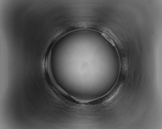 X0000093500585200710121515