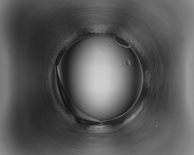 X0000093500589200710121515