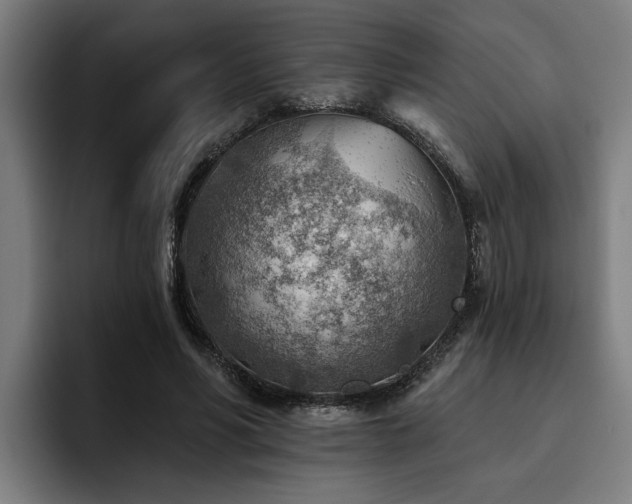 X0000093500590200710121515