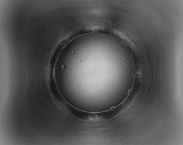 X0000093500591200710121515