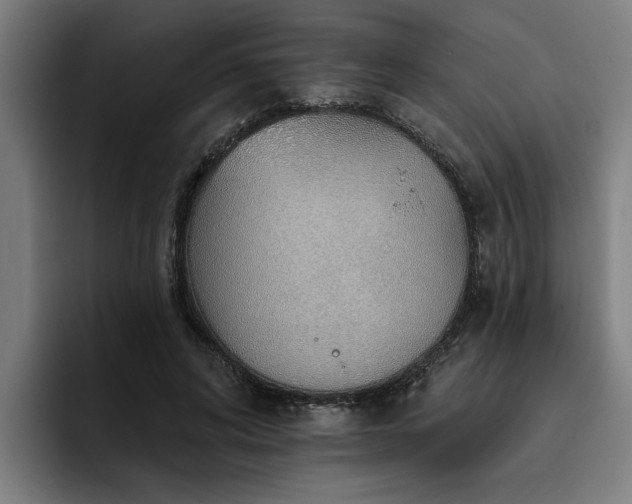 X0000093500592200710121515
