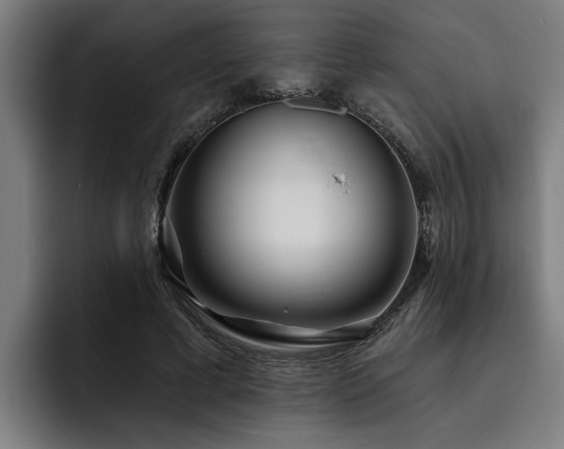 X0000093500593200710121515