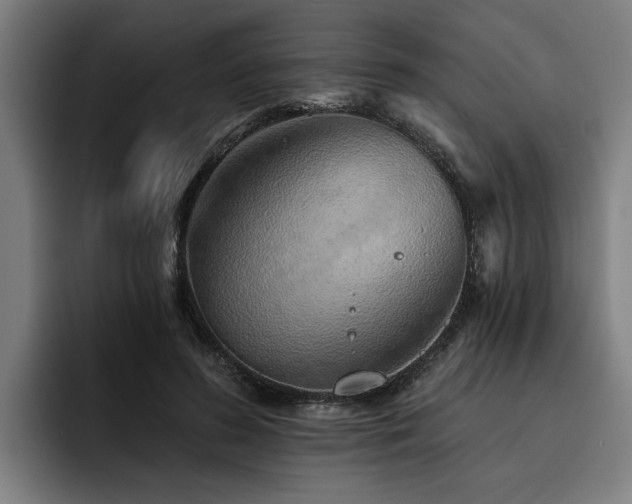 X0000093500596200710121514