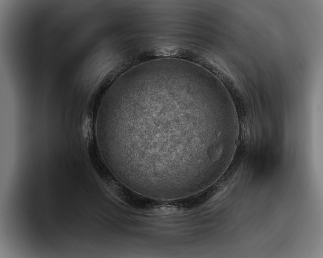 X0000093500598200710121514