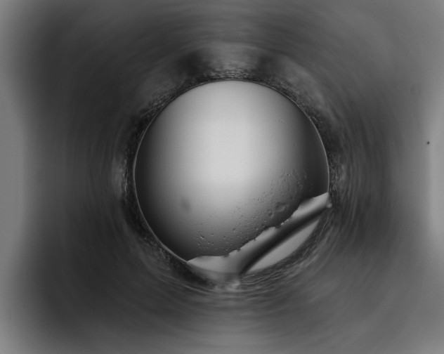 X0000093500599200710121514