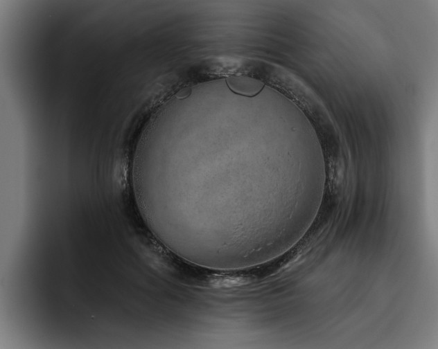 X0000093500602200710121514