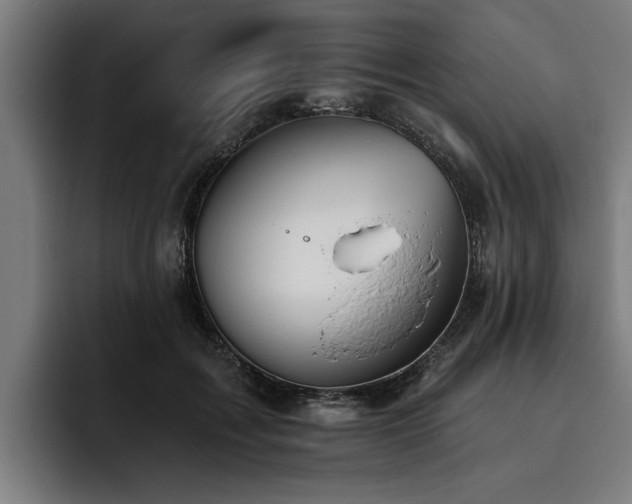 X0000093500603200710121514