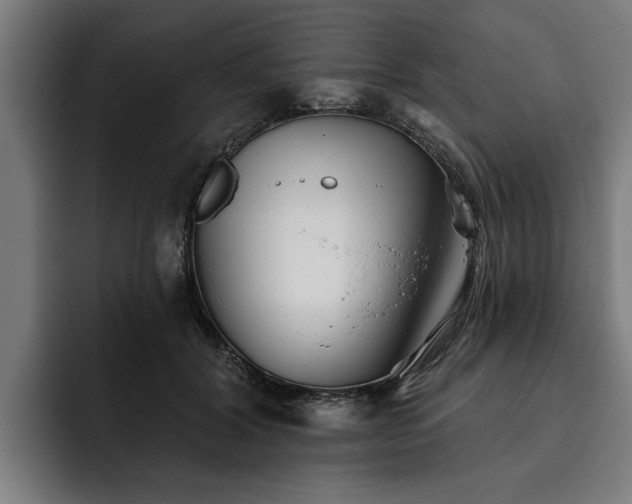 X0000093500604200710121514