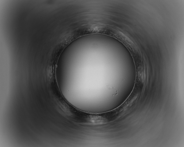 X0000093500605200710121514