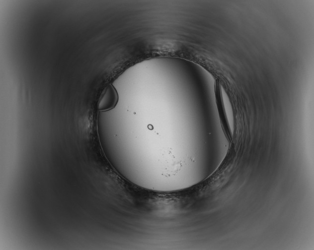 X0000093500608200710121514