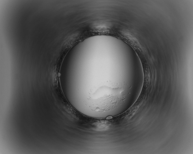 X0000093500609200710121514