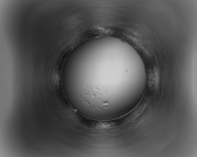 X0000093500613200710121514