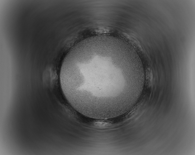 X0000093500614200710121514