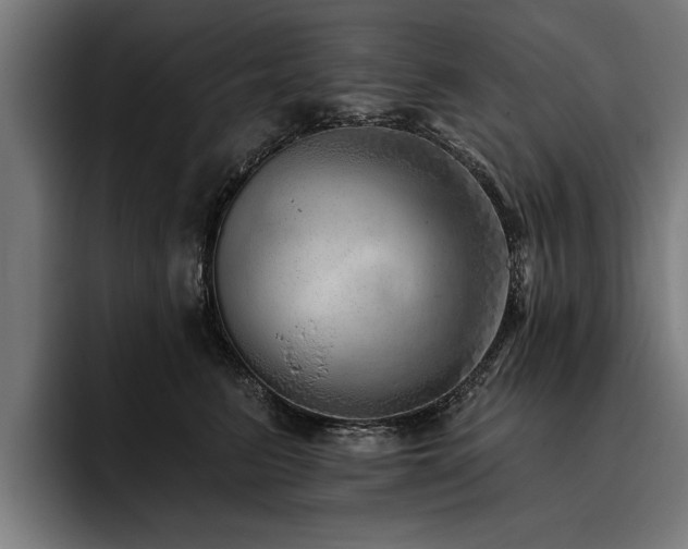 X0000093500615200710121514